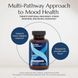 Neurobiologix Advanced Mood and Stress Support (Mood Plus) 60 Capsules