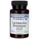Лактобактерии Рамнозус с ФОС Swanson (Lactobacillus Rhamnosus with FOS) 5 миллиардов КОЕ 60 капсул фото