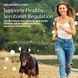 Neurobiologix Advanced Mood and Stress Support (Mood Plus) 60 Capsules