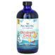 Детская ДГК, Клубника, Nordic Naturals, 4 fl oz (119 мл) фото