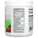 Нарезанные зеленые сырые суперпродукты, фруктовый сад яблоко, Stacked Greens Raw Superfood, Orchard Apple, EVLution Nutrition, 162 г фото
