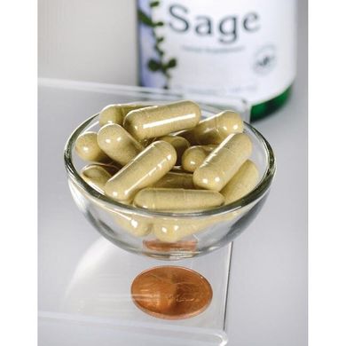 Экстракт шалфея 10: 1, Sage 10:1 Extract, Swanson, 160 мг, 100 капсул купить в Киеве и Украине