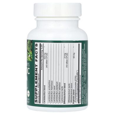 PlantFusion, Daily Women's Probiotic, 50 Billion, 30 Vegan Capsules купить в Киеве и Украине