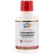 Рідкий Глюкозамін Хондроїтин 21st Century (Glucosamine Chondroitin Liquid Raspberry) 1500 мг / 1200 мг зі смаком малини 480 мл фото