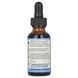 Eclectic Herb, Herb, Celandine, 1 fl oz (30 ml) фото