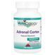 Adrenal Cortex, natural endocrine product, Nutricology, 100 capsules in vegetable shell.