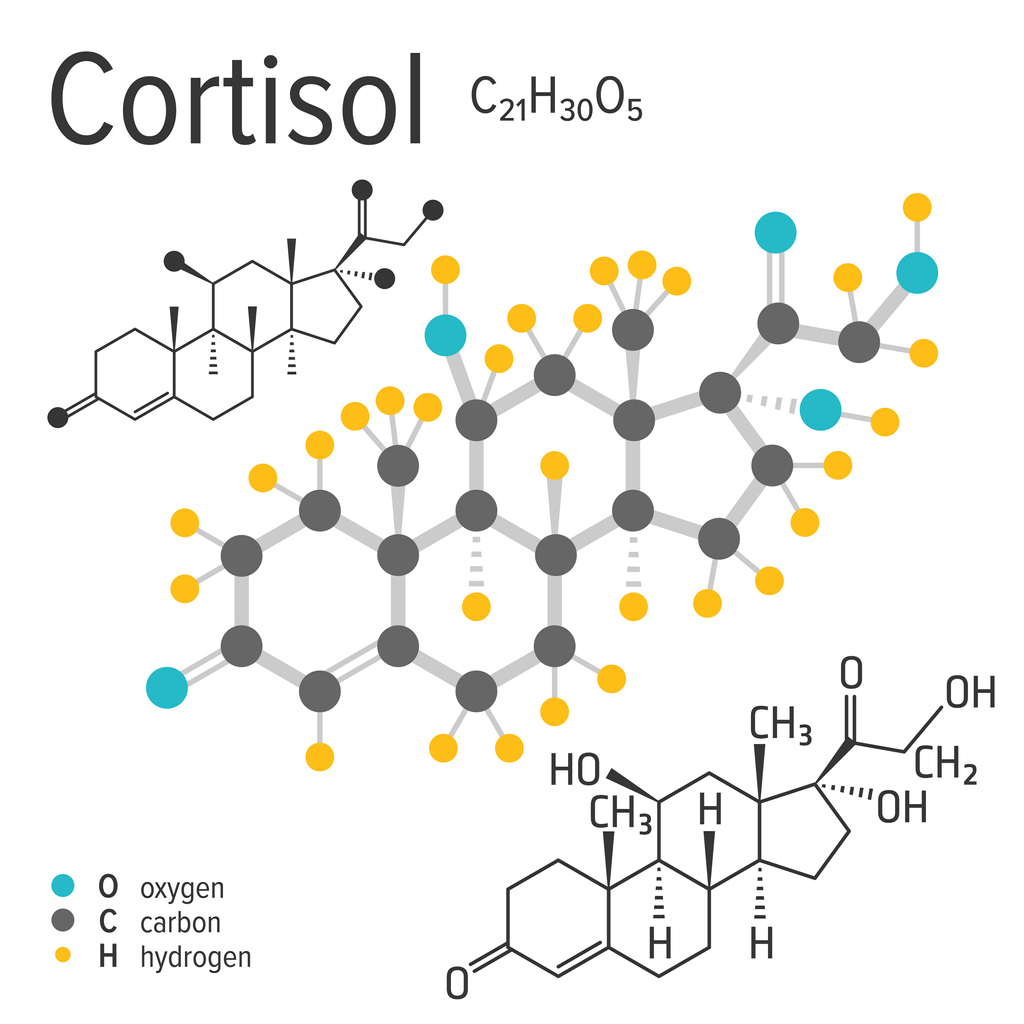 Эндокринолог о кортизоле