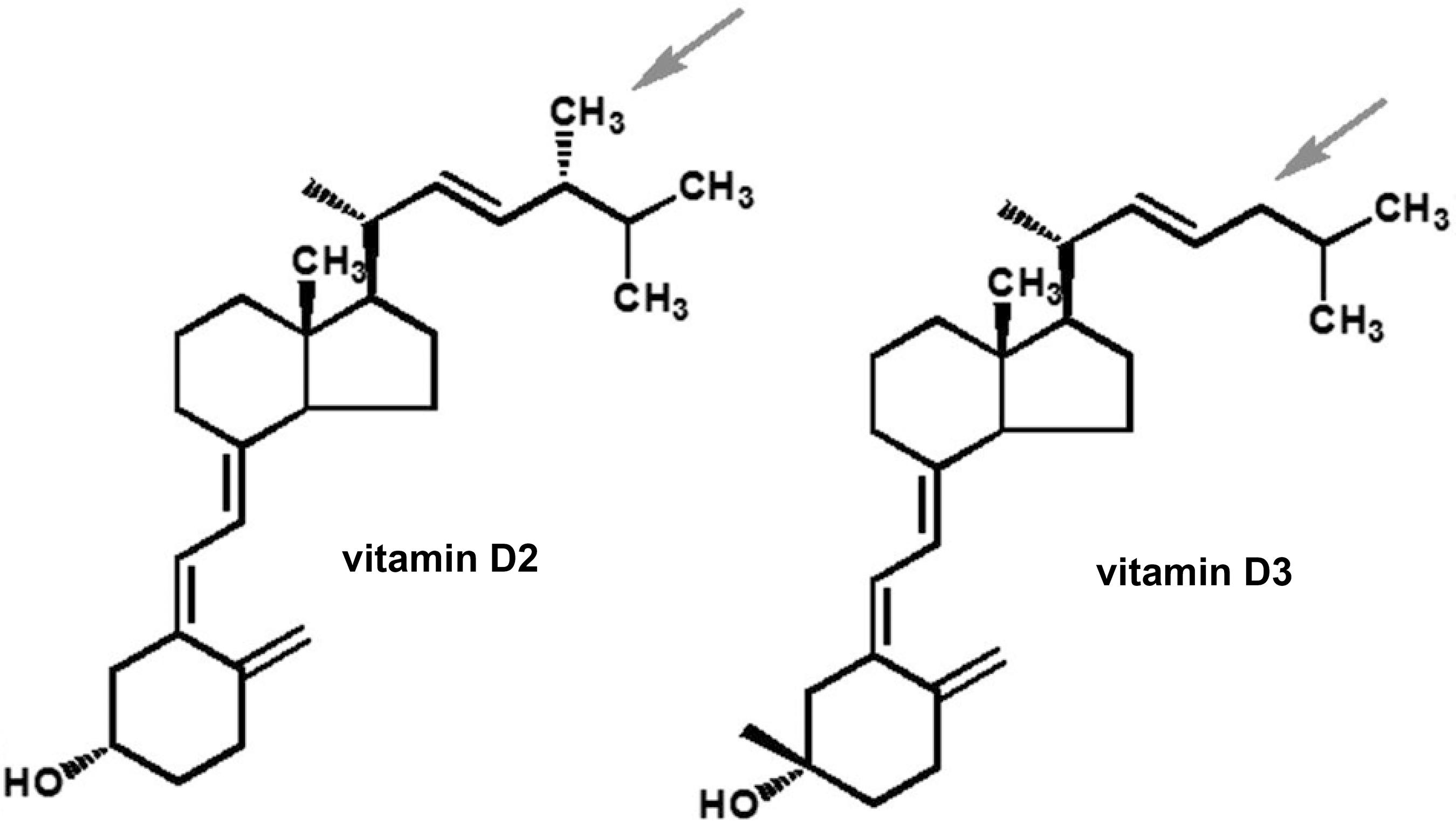 Эргокальциферол (витамин D2): инструкция, для чего принимать - Dobavki